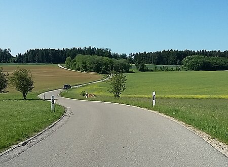 Sanierung GVS Hirnstetten - Götzelshard