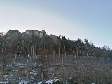 Felssicherung Michelsberg Zaun West