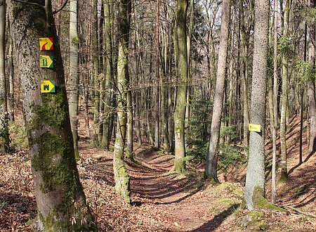 Hügelgräberweg Nr. 11