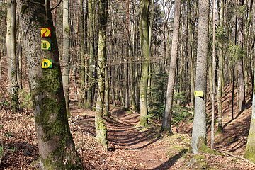 Hügelgräberweg Nr. 11 Hügelgräberweg Nr. 11