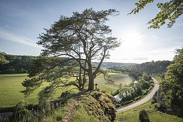 Yoga auf den Zwölf Aposteln bei Solnhofen Eine Frau sitzt in einer Yogapose auf den zwölf Aposteln. Ein großer Baum ragt über ihr auf. Sie lässt den Blick über das Tal schweifen.