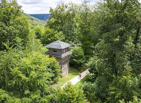 Wanderer unterwegs auf dem Altmühltal-Panoramaweg sind gerade auf Höhe des Limesturms in Kipfenberg. Dieser steht inmitten grüner Bäume.