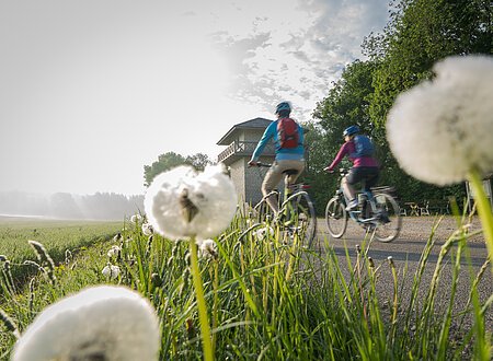 Zwei Radfahrer, eine Frau und ein Mann, radeln auf den Limesturm zu. Beide haben einen Rucksack dabei und tragen Helme. Im Vordergrund sind einige Pusteblumen im Gras zu sehen. Der Himmel ist bewölkt.