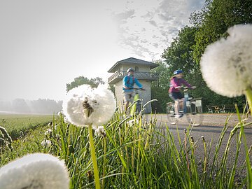 Radfahrer am Limes-Radweg beim Limesturm Erkertshofen Zwei Radfahrer, eine Frau und ein Mann, fahren den Limesturm vorbei. Beide tragen einen Fahrradhelm. Im Vordergrund sind einige Pusteblumen im Gras zu sehen. Der Himmel ist bewölkt.