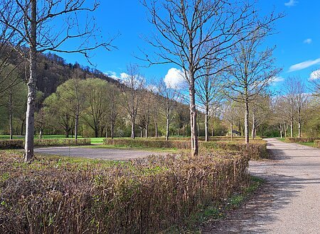 Parkplatz mit Bäumen