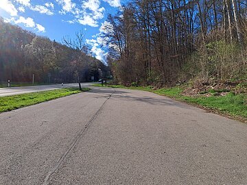 Parkplatz neben Straße, Wald