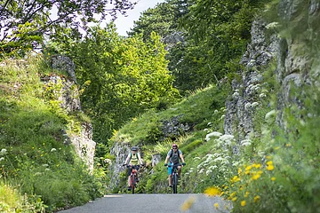 Zwei Radler mit Fahrradhelmen radeln inmitten grüner Hänge und Wiesen bei Kipfenberg.