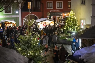 Weihnachtsbuden und leuchtende Christbäume am Kipfenberger Marktplatz. WEihnachtsmarktbesucher.