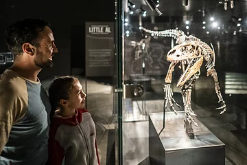 Ein Vater mit Kind schauen sich einen kleinen ausgestellten Dinosaurier in einer Vitrine an.