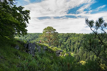 Aussicht vom Brandplatz