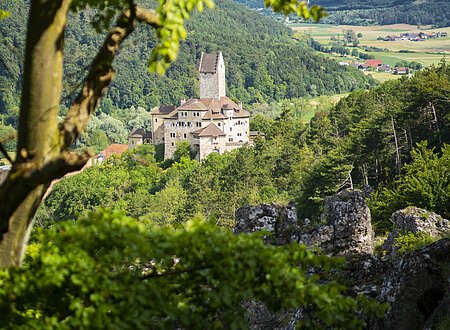 Blick auf Burg Kipfenberg vom Brandplatz