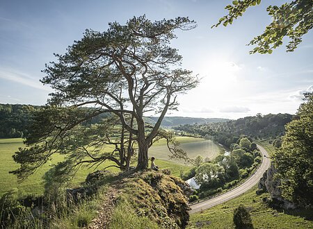 Yoga auf den Zwölf Aposteln bei Solnhofen Frau sitzt unter großem Baum auf Felsen mit Blick auf Fluss, Straße und grüne Landschaft bei Sonnenschein.