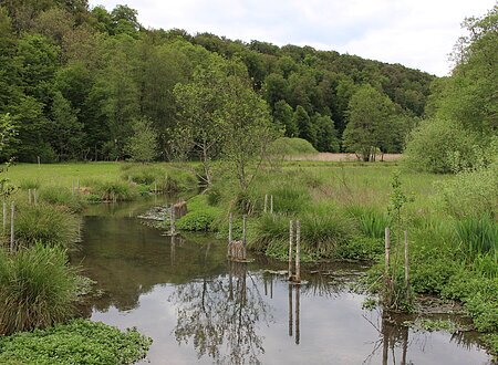 Schambach am Lohgrund