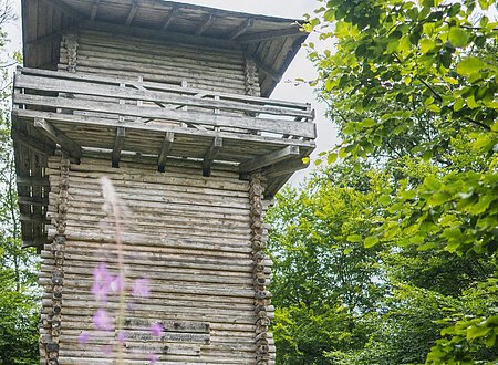 Kipfenberg-Shooting Juli 2020 Limeswachturm