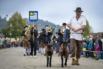 Zwei Ziegen mit Blaskapelle