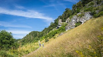Katzensteig Böhming am Schmetterlingsweg Felsen am Katzensteig