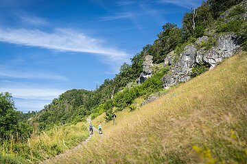 Katzensteig Böhming am Schmetterlingsweg