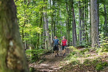 Beim Wandern in den Wäldern Kipfenbergs