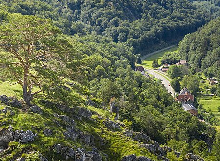 Blick auf Birktal vom Brandplatz