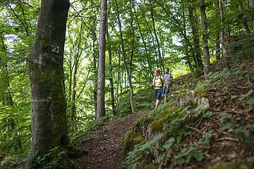 Oberhalb Burg Kipfenberg am Mühlenweg