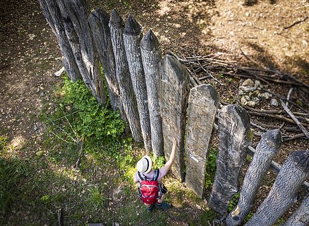 Palisadenzaun am Pfahlbuck Kipfenberg