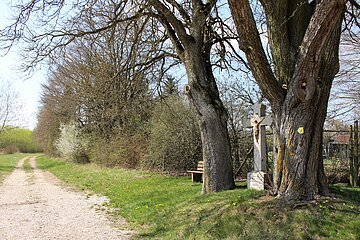 Limesrundweg bei Pfahldorf in Kipfenberg