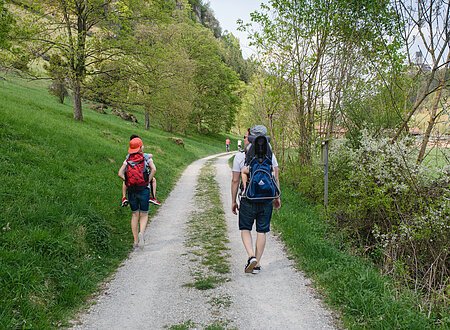 Waldlehrpfad im Birktal Kipfenberg