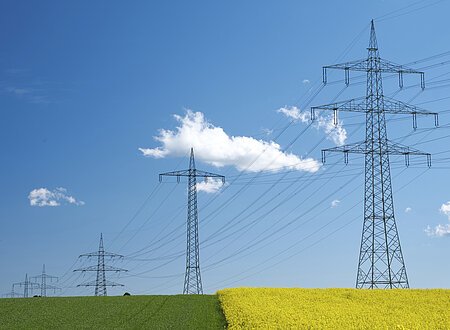 Stromleitung, strommast, Rapsfeld, biostrom, ökostrom, Hochspannungsleitung, raps, netzausbau, stromnetz, elektrosmog, fernübertragung, erneuerbare energien, überlandleitung, infrastruktur, stromversorgung, energieversorgung, atomstrom, stromtrasse, kernenergie, ----- , Power Line, Power Pole, rapeseed field, eco power, green power, high voltage power line, colza, grid expansion, power grid, electric smog, long-distance transmission, renewable energy, land line, infrastructure, power supply, power supply, nuclear power, power line, nuclear energy