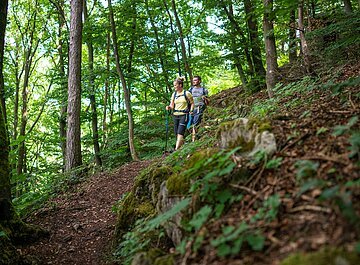 Wanderer im Wald