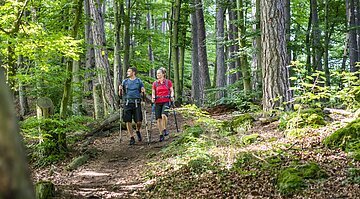 Kipfenberg-Shooting Juli 2020 Wald am Kressensteig