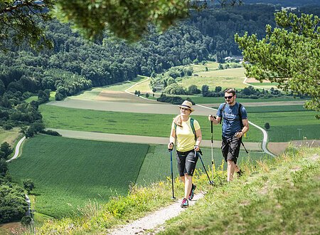 Nordic-Walking in Kipfenberg