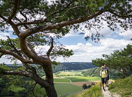 Aussicht auf Altmühl von Schloss Arnsberg