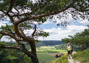 Aussicht auf Altmühl von Schloss Arnsberg