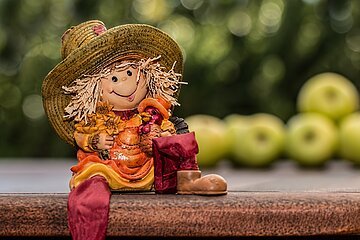 farm-girl-1509198_pixabay