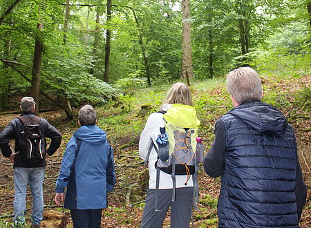 Roter-Rucksack-Entdeckertour: Verändert das Klima den Wald