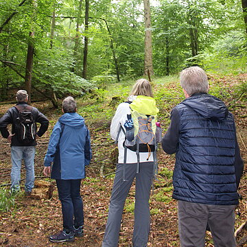 Roter-Rucksack-Entdeckertour: Verändert das Klima den Wald Roter-Rucksack-Entdeckertour: Verändert das Klima den Wald