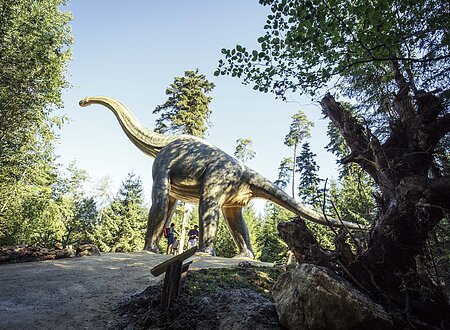 Dinosaurier Museum Altmühltal:
